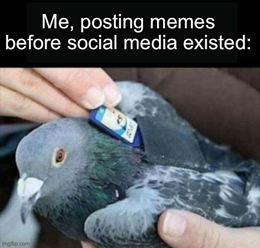 Early Social media | Me, posting memes before social media existed: | image tagged in carrier pigeon | made w/ Imgflip meme maker