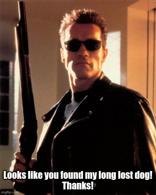 Terminator 2 | Looks like you found my long lost dog!
Thanks! | image tagged in terminator 2 | made w/ Imgflip meme maker