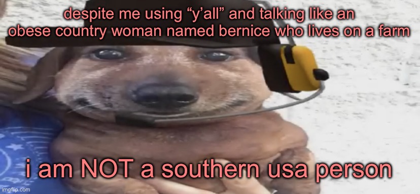 chucklenuts | despite me using “y’all” and talking like an obese country woman named bernice who lives on a farm; i am NOT a southern usa person | image tagged in chucklenuts | made w/ Imgflip meme maker