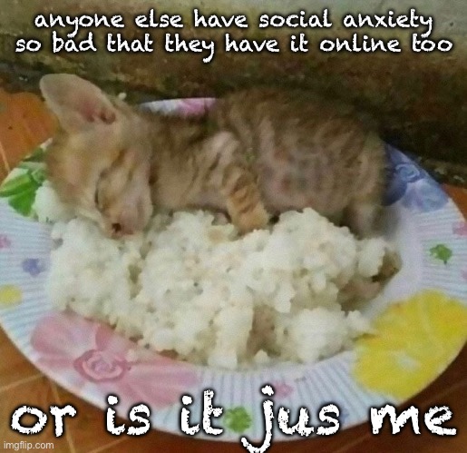 the meal | anyone else have social anxiety so bad that they have it online too; or is it jus me | image tagged in the meal | made w/ Imgflip meme maker