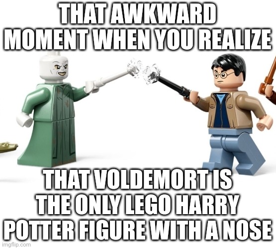 Odd indeed | THAT AWKWARD MOMENT WHEN YOU REALIZE; THAT VOLDEMORT IS THE ONLY LEGO HARRY POTTER FIGURE WITH A NOSE | image tagged in voldemort,nose,lego,lego harry potter | made w/ Imgflip meme maker
