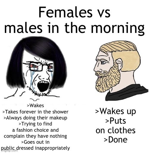 . | Females vs males in the morning; >Wakes up
>Puts on clothes
>Done; >Wakes
>Takes forever in the shower
>Always doing their makeup
>Trying to find a fashion choice and complain they have nothing
>Goes out in public dressed inappropriately | image tagged in soyboy vs yes chad | made w/ Imgflip meme maker