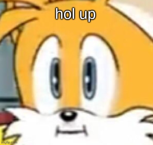 confused tails Blank Meme Template
