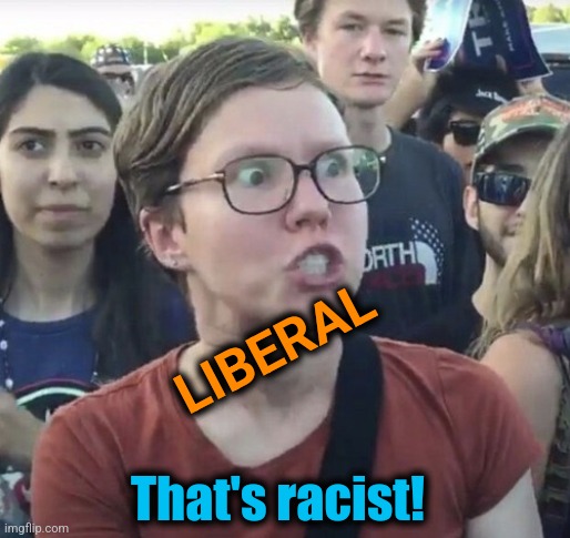 Triggered feminist | LIBERAL That's racist! | image tagged in triggered feminist | made w/ Imgflip meme maker
