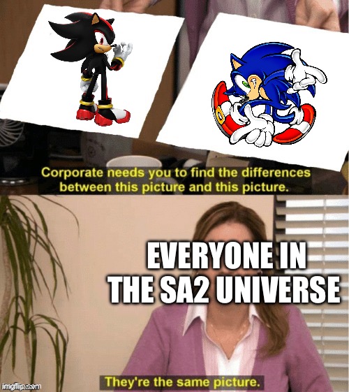 Dumbass | EVERYONE IN THE SA2 UNIVERSE | image tagged in they re the same thing | made w/ Imgflip meme maker