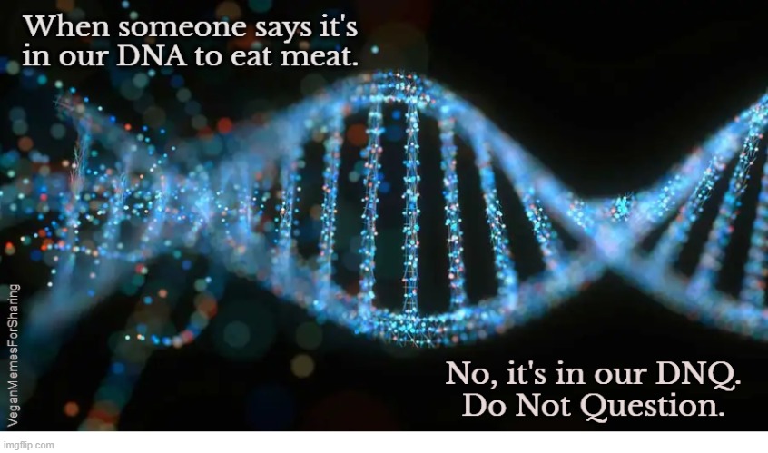 DNA: Do Not Care | image tagged in vegan,veganism,hamburger,bacon,chicken,lamb | made w/ Imgflip meme maker