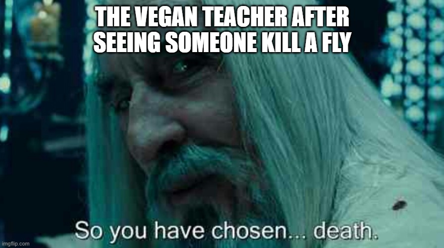 So you have chosen death | THE VEGAN TEACHER AFTER SEEING SOMEONE KILL A FLY | image tagged in so you have chosen death | made w/ Imgflip meme maker