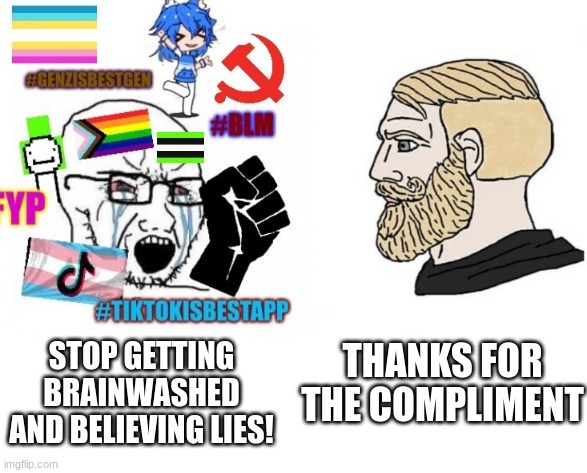 We're not brainwashed, we're just chads | STOP GETTING BRAINWASHED AND BELIEVING LIES! THANKS FOR THE COMPLIMENT | image tagged in average liberal vs chad outdated | made w/ Imgflip meme maker