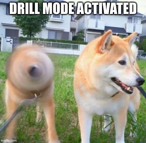 hi | DRILL MODE ACTIVATED | image tagged in maximum bork mode | made w/ Imgflip meme maker