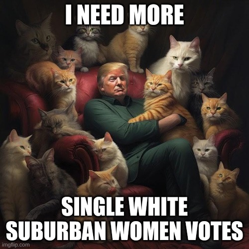 trump cats | I NEED MORE; SINGLE WHITE SUBURBAN WOMEN VOTES | image tagged in trump | made w/ Imgflip meme maker