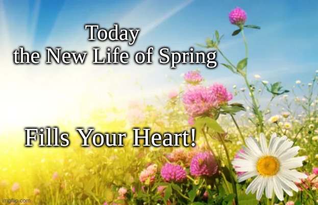 New Life Of Spring | Today 
the New Life of Spring; Fills Your Heart! | image tagged in today,spring,new life | made w/ Imgflip meme maker