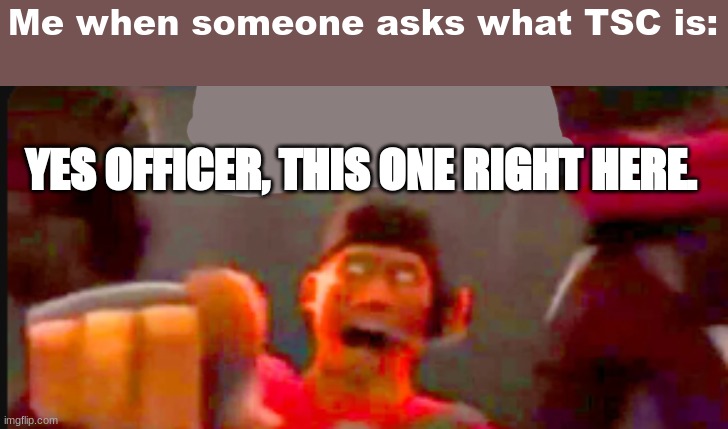 YES. THIS ONE. | Me when someone asks what TSC is:; YES OFFICER, THIS ONE RIGHT HERE. | image tagged in tf2 scout pointing | made w/ Imgflip meme maker
