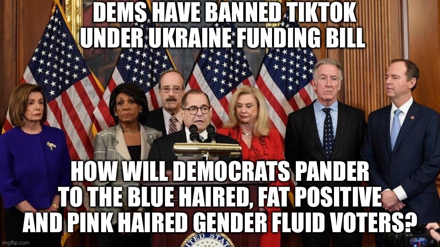 TikTok Ban | DEMS HAVE BANNED TIKTOK UNDER UKRAINE FUNDING BILL; HOW WILL DEMOCRATS PANDER TO THE BLUE HAIRED, FAT POSITIVE AND PINK HAIRED GENDER FLUID VOTERS? | image tagged in house democrats,politics,tiktok,political meme,woke | made w/ Imgflip meme maker