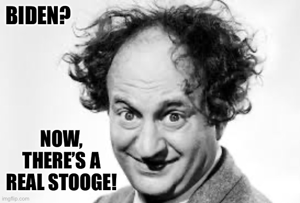 Larry Fine | BIDEN? NOW, THERE’S A REAL STOOGE! | image tagged in larry fine | made w/ Imgflip meme maker