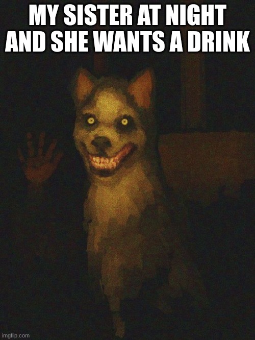 My sister can be creepy some times | MY SISTER AT NIGHT AND SHE WANTS A DRINK | image tagged in smile dog | made w/ Imgflip meme maker