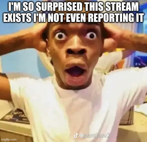 like what like wow | I'M SO SURPRISED THIS STREAM EXISTS I'M NOT EVEN REPORTING IT | image tagged in shocked black guy | made w/ Imgflip meme maker