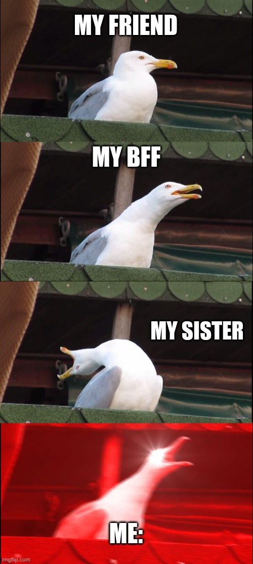 Me and my freinds | MY FRIEND; MY BFF; MY SISTER; ME: | image tagged in memes,inhaling seagull | made w/ Imgflip meme maker