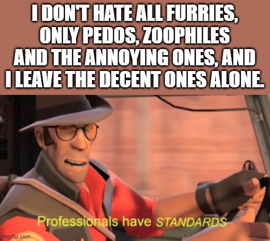 I DON'T HATE ALL FURRIES, ONLY PEDOS, ZOOPHILES AND THE ANNOYING ONES, AND I LEAVE THE DECENT ONES ALONE. | image tagged in professionals have standards | made w/ Imgflip meme maker
