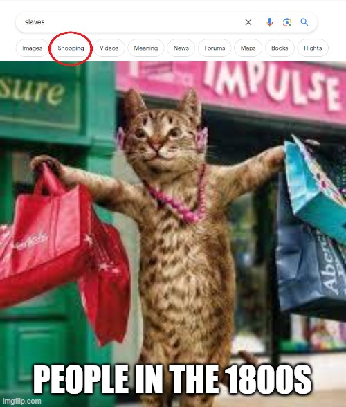 It takes 17-25 business days though... | PEOPLE IN THE 1800S | image tagged in cat shopping,bruh | made w/ Imgflip meme maker