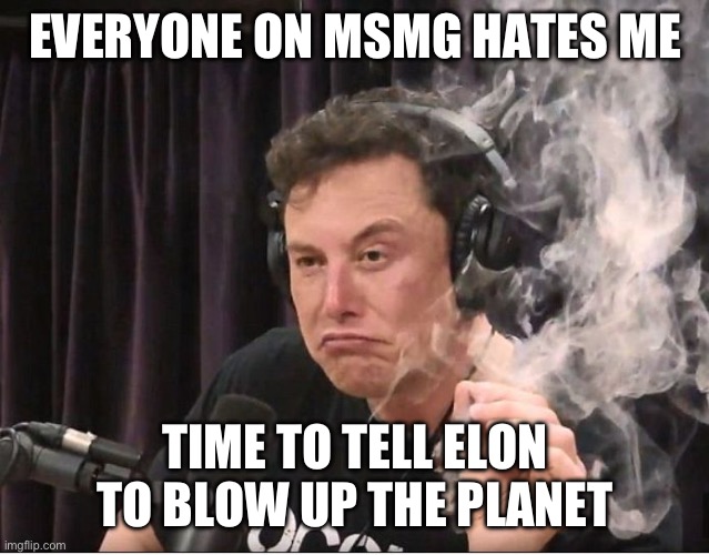 L so big i broke character | EVERYONE ON MSMG HATES ME; TIME TO TELL ELON TO BLOW UP THE PLANET | image tagged in elon musk smoking a joint | made w/ Imgflip meme maker