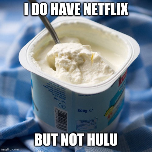 Yogurt | I DO HAVE NETFLIX BUT NOT HULU | image tagged in yogurt | made w/ Imgflip meme maker