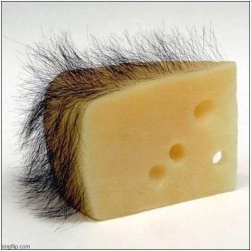 Fancy Some Hairy Cheese ? | image tagged in cheese,hairy | made w/ Imgflip meme maker
