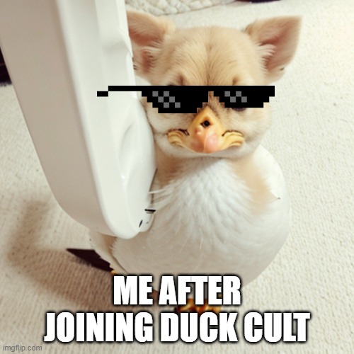 ME AFTER JOINING DUCK CULT | made w/ Imgflip meme maker