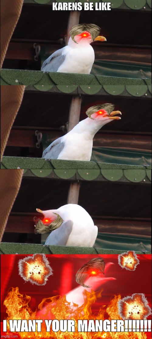 Inhaling Seagull | KARENS BE LIKE; I WANT YOUR MANGER!!!!!!! | image tagged in memes,inhaling seagull | made w/ Imgflip meme maker