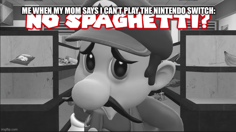 No Spaghetti? | ME WHEN MY MOM SAYS I CAN’T PLAY THE NINTENDO SWITCH: | image tagged in no spaghetti | made w/ Imgflip meme maker