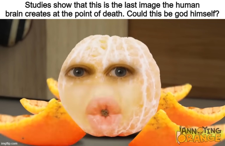 Studies show that this is the last image the human brain creates at the point of death. Could this be god himself? | image tagged in memes,annoying orange,shitpost | made w/ Imgflip meme maker
