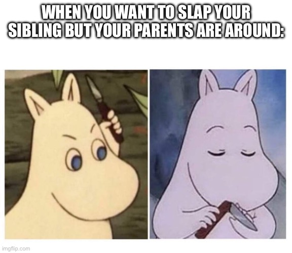 moomin knife | WHEN YOU WANT TO SLAP YOUR SIBLING BUT YOUR PARENTS ARE AROUND: | image tagged in moomin knife | made w/ Imgflip meme maker