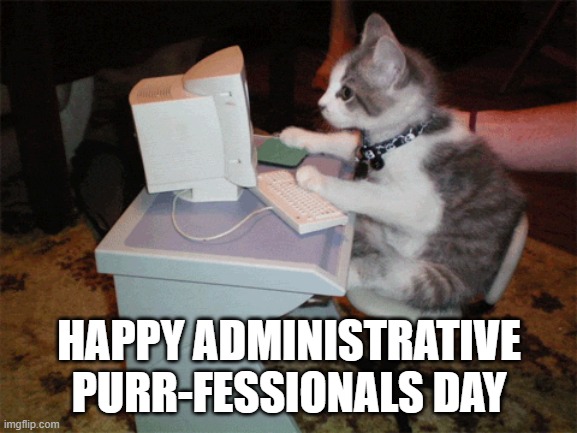 Happy Admin Purr-fessionals Day | HAPPY ADMINISTRATIVE PURR-FESSIONALS DAY | image tagged in kitten,computer,administrative,gif,typing | made w/ Imgflip meme maker