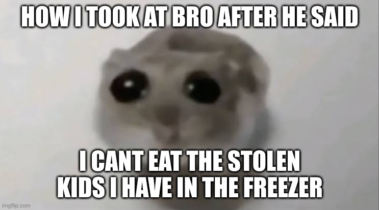 he said i cant eat them | HOW I TOOK AT BRO AFTER HE SAID; I CANT EAT THE STOLEN KIDS I HAVE IN THE FREEZER | image tagged in sad hamster | made w/ Imgflip meme maker