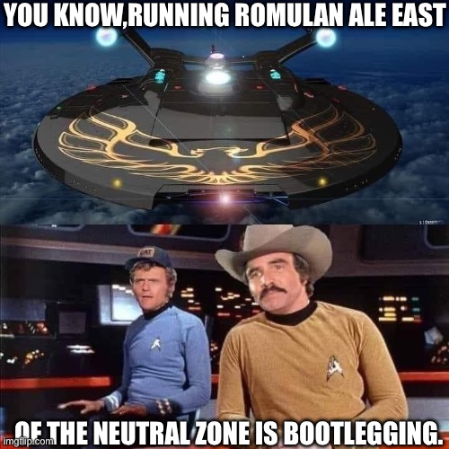 Funny | YOU KNOW,RUNNING ROMULAN ALE EAST; OF THE NEUTRAL ZONE IS BOOTLEGGING. | image tagged in funny memes | made w/ Imgflip meme maker