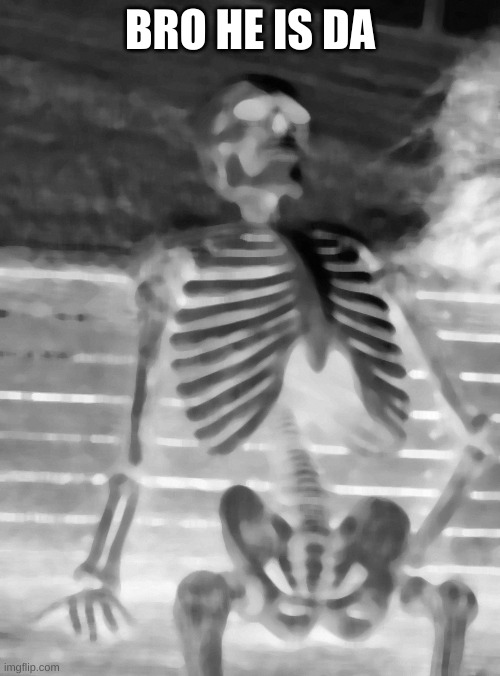Waiting Skeleton | BRO HE IS DA | image tagged in memes,waiting skeleton | made w/ Imgflip meme maker