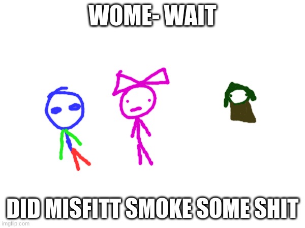 team 5 | WOME- WAIT; DID MISFITT SMOKE SOME SHIT | made w/ Imgflip meme maker