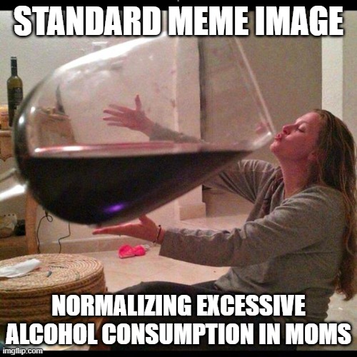 Wine Drinker | STANDARD MEME IMAGE; NORMALIZING EXCESSIVE ALCOHOL CONSUMPTION IN MOMS | image tagged in wine drinker | made w/ Imgflip meme maker