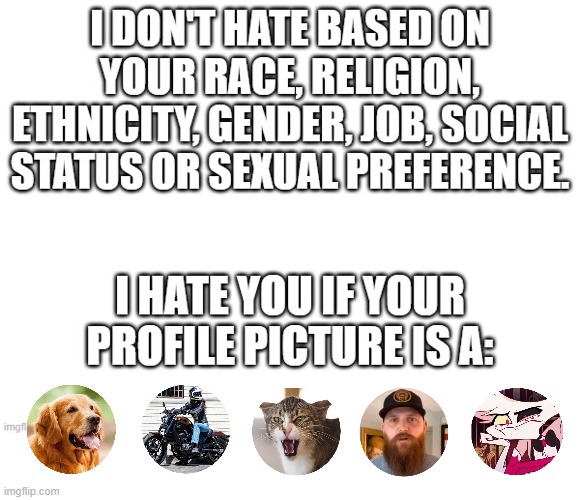 profile pic hate | image tagged in facebook,profile picture,cat,dog,beard,motorcycle | made w/ Imgflip meme maker