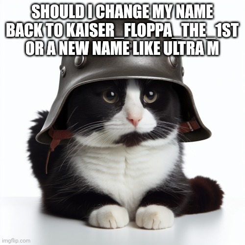 Just let me know | SHOULD I CHANGE MY NAME BACK TO KAISER_FLOPPA_THE_1ST OR A NEW NAME LIKE ULTRA M | image tagged in kaiser_floppa_the_1st silly post | made w/ Imgflip meme maker