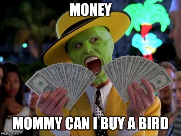 MONEY MOMMY CAN I BUY A BIRD | image tagged in memes,money money | made w/ Imgflip meme maker