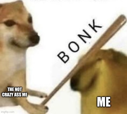 Bonk | THE NOT CRAZY ASS ME ME | image tagged in bonk | made w/ Imgflip meme maker