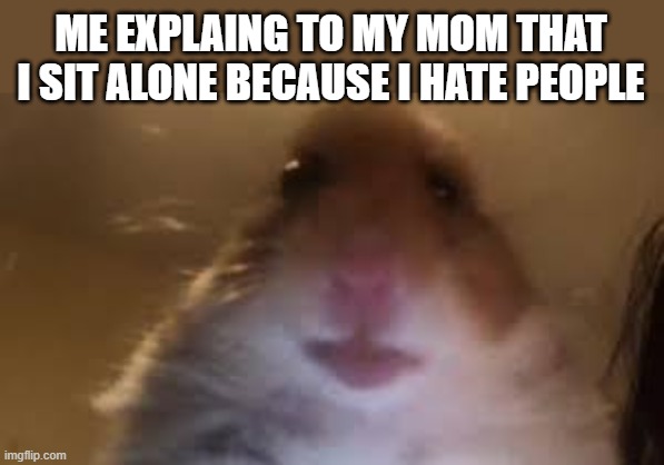ME EXPLAING TO MY MOM THAT I SIT ALONE BECAUSE I HATE PEOPLE | image tagged in facetime hamster | made w/ Imgflip meme maker