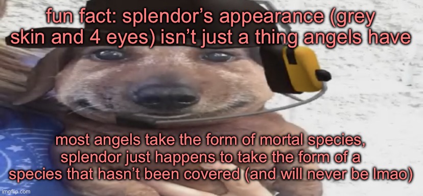 idk man it’s hard to character-develop religious creatures beyond any mortal being’s comprehension | fun fact: splendor’s appearance (grey skin and 4 eyes) isn’t just a thing angels have; most angels take the form of mortal species, splendor just happens to take the form of a species that hasn’t been covered (and will never be lmao) | image tagged in chucklenuts | made w/ Imgflip meme maker