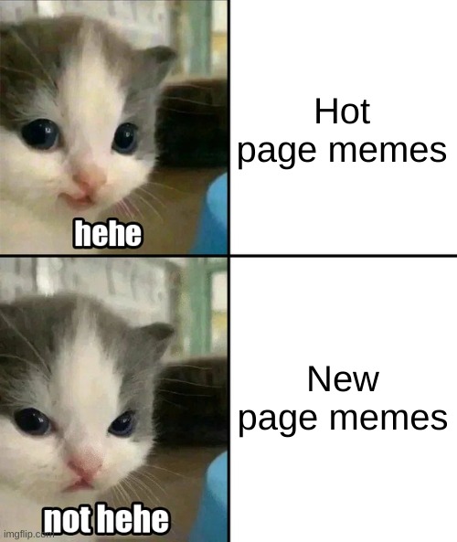 Relatable, right? | Hot page memes; New page memes | image tagged in cute cat hehe and not hehe,repost,memes | made w/ Imgflip meme maker