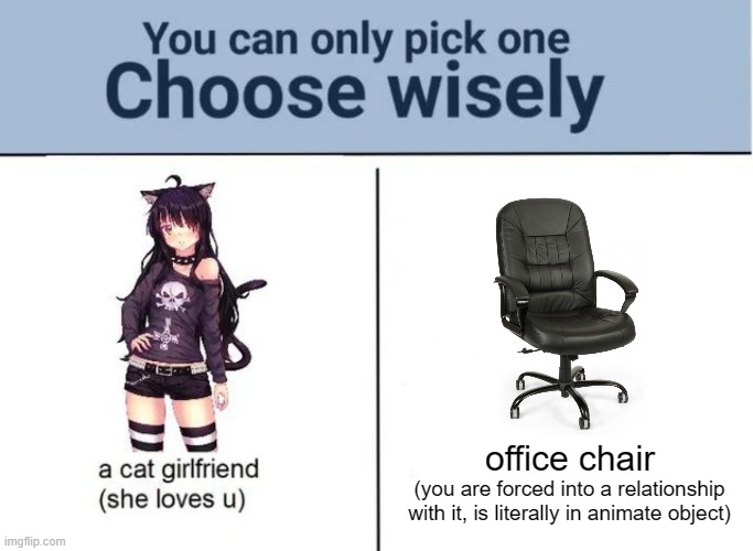 . | office chair (you are forced into a relationship with it, is literally in animate object) | image tagged in choose wisely | made w/ Imgflip meme maker