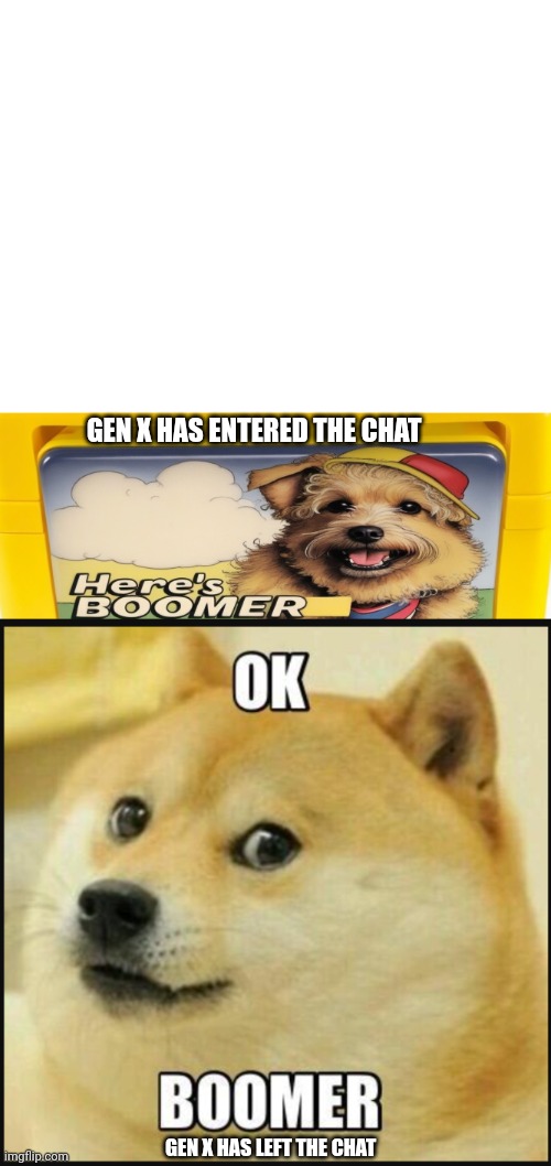 Gen X has entered the chat | GEN X HAS ENTERED THE CHAT; GEN X HAS LEFT THE CHAT | image tagged in gen x,ok boomer | made w/ Imgflip meme maker