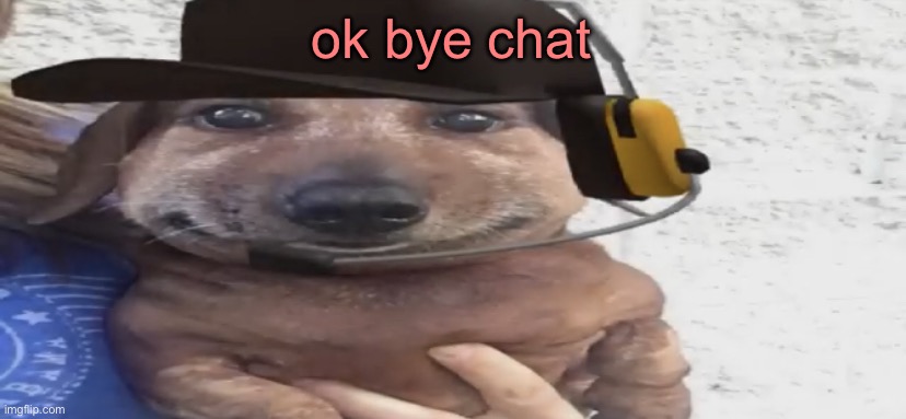 chucklenuts | ok bye chat | image tagged in chucklenuts | made w/ Imgflip meme maker