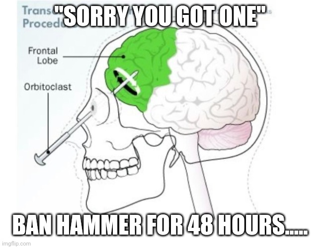 "SORRY YOU GOT ONE" BAN HAMMER FOR 48 HOURS..... | made w/ Imgflip meme maker