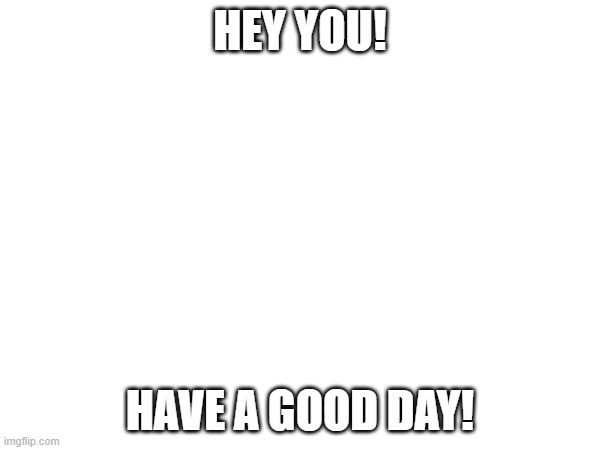 HAVE A GOOD DAY | HEY YOU! HAVE A GOOD DAY! | image tagged in have a good day | made w/ Imgflip meme maker