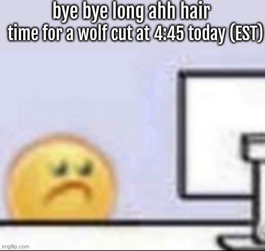 Zad | bye bye long ahh hair; time for a wolf cut at 4:45 today (EST) | image tagged in zad,bye long hair,rip | made w/ Imgflip meme maker